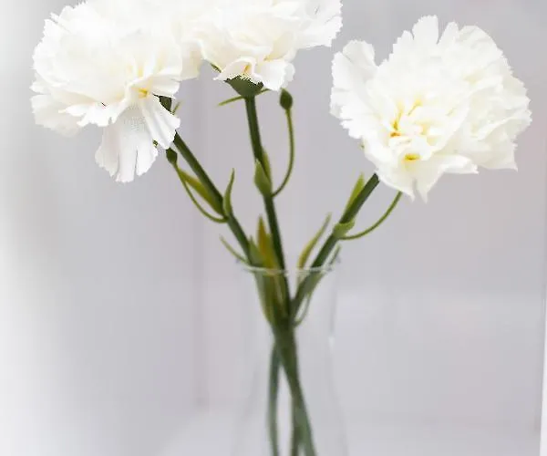 Prince Studio By Renters Apartment *