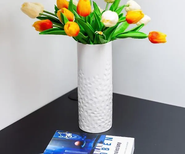 Prince Studio By Renters Apartment *