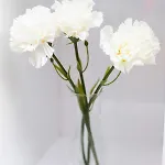Prince Studio By Renters Apartament *