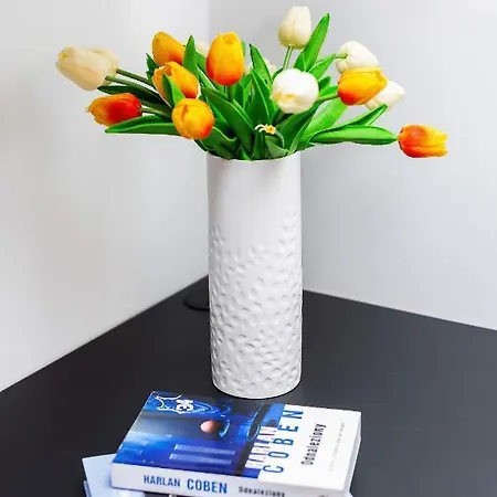 Prince Studio By Renters Appartement *